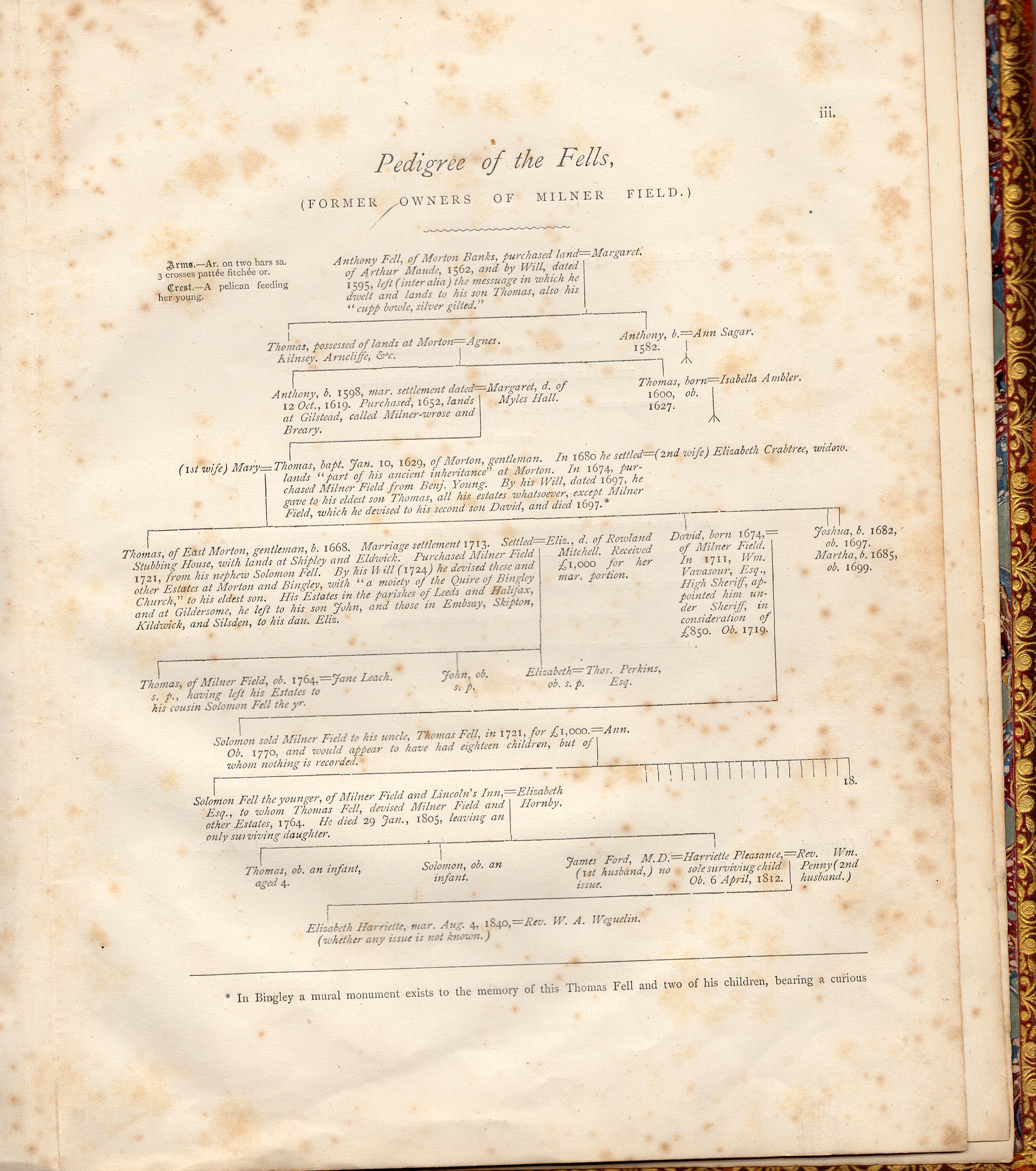 Old Milner Field: Owners of Milner Field