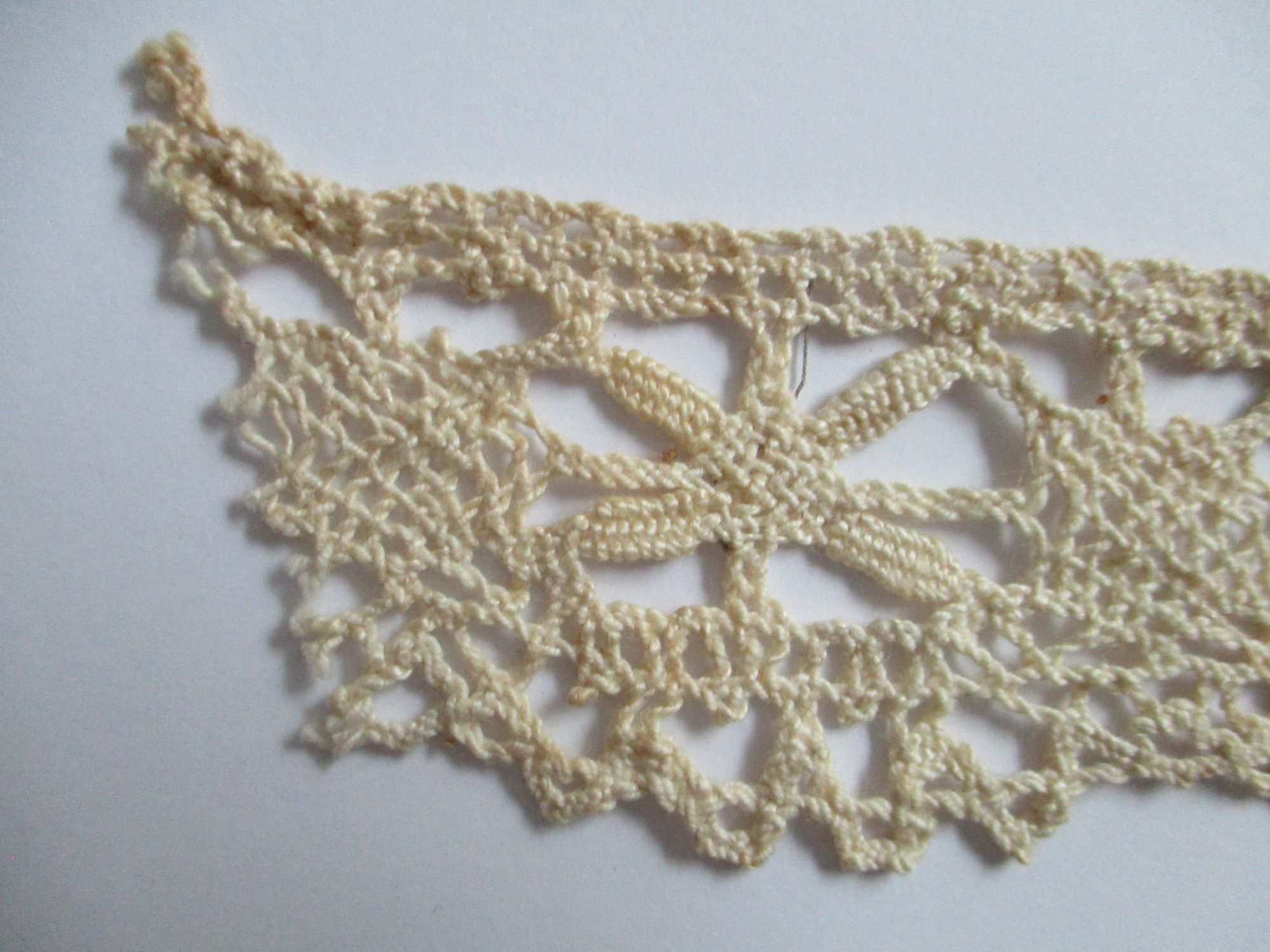 Piece of cotton lace.: Cotton cream lace design detail. (i)