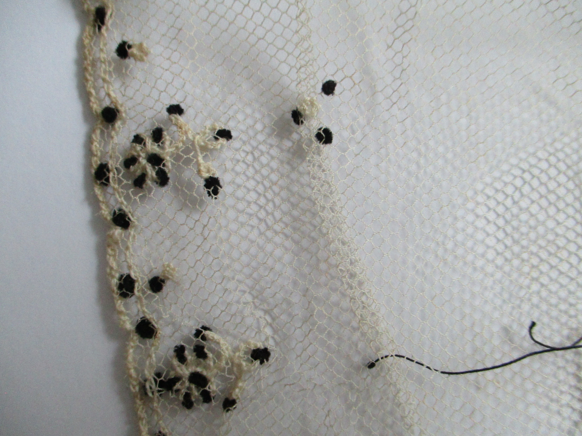 Piece of decorated cream netting.: Embroidery detail on nylon netting showing french knots. (i)