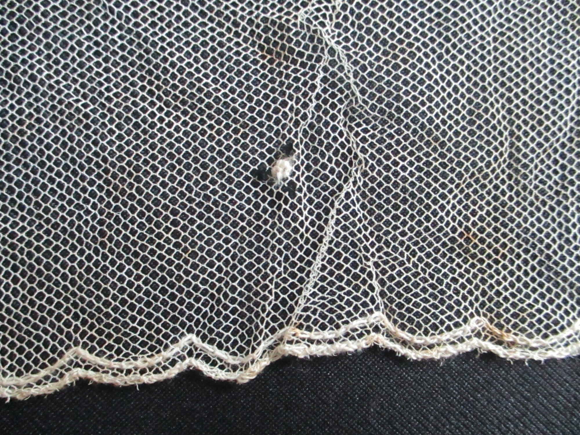 Piece of decorated cream netting.: Embroidery detail on nylon netting showing french knots. (iii) against black background.