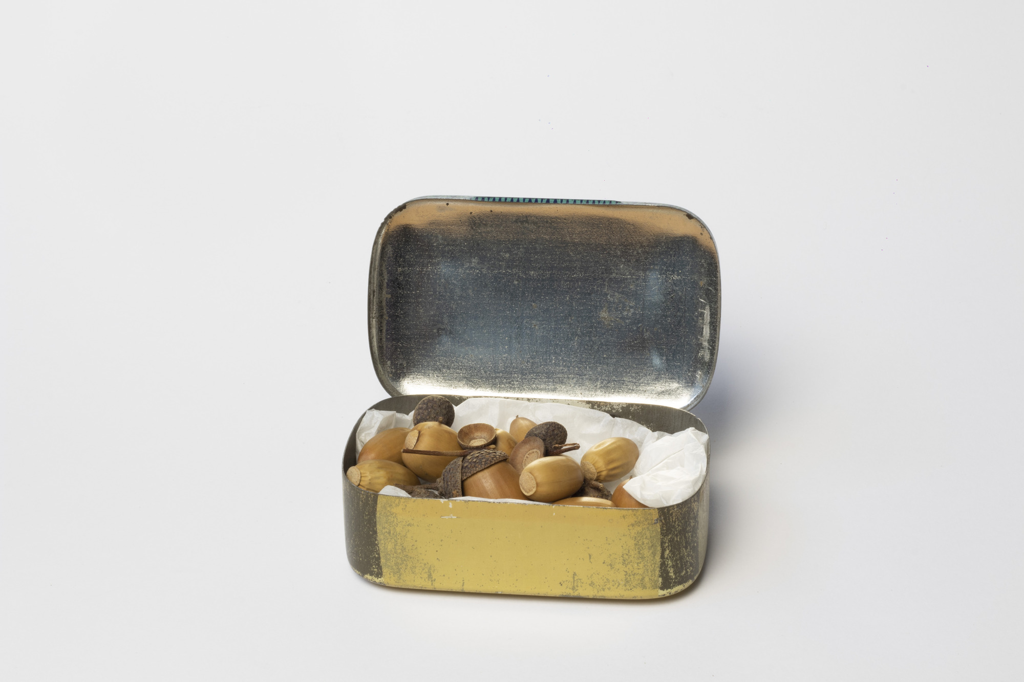 Tin box containing acorns: front view of open tin
