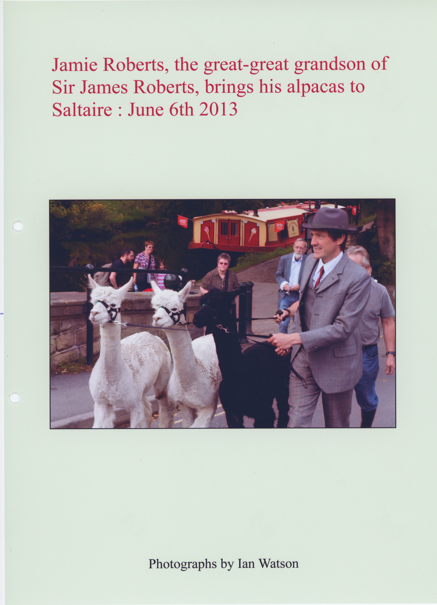 Jamie Roberts visit with alpacas