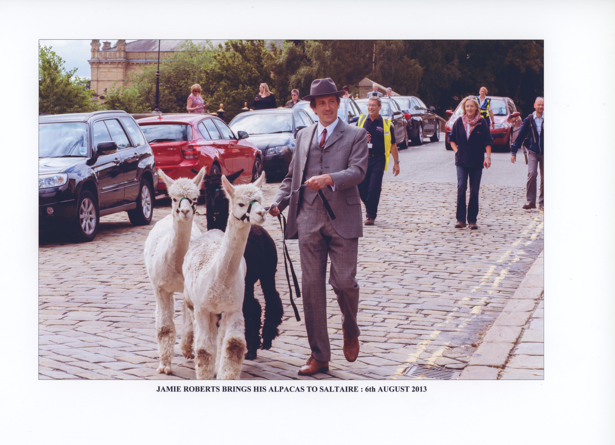 Jamie Roberts visit with alpacas: Page 4 - On Albert Terrace