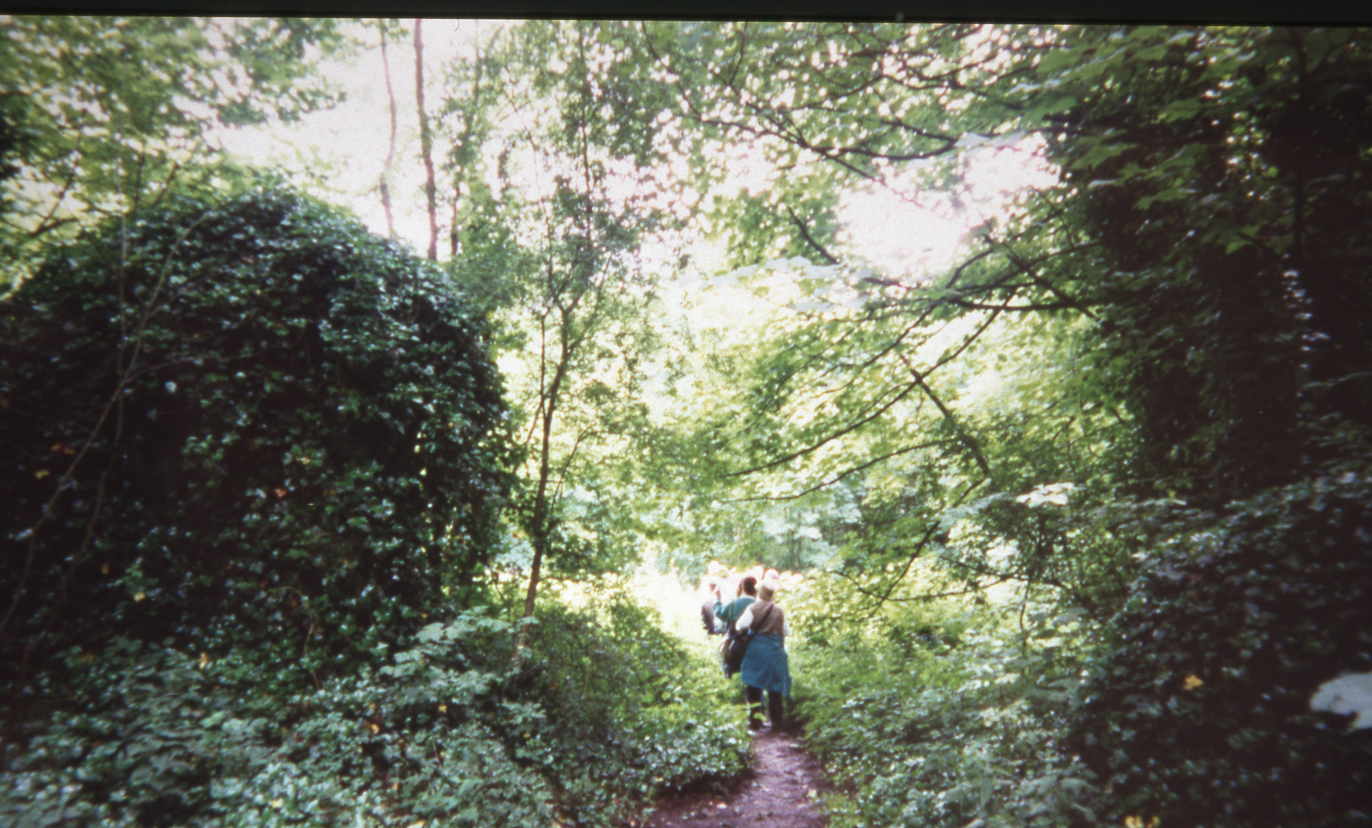 Milner Fields archway