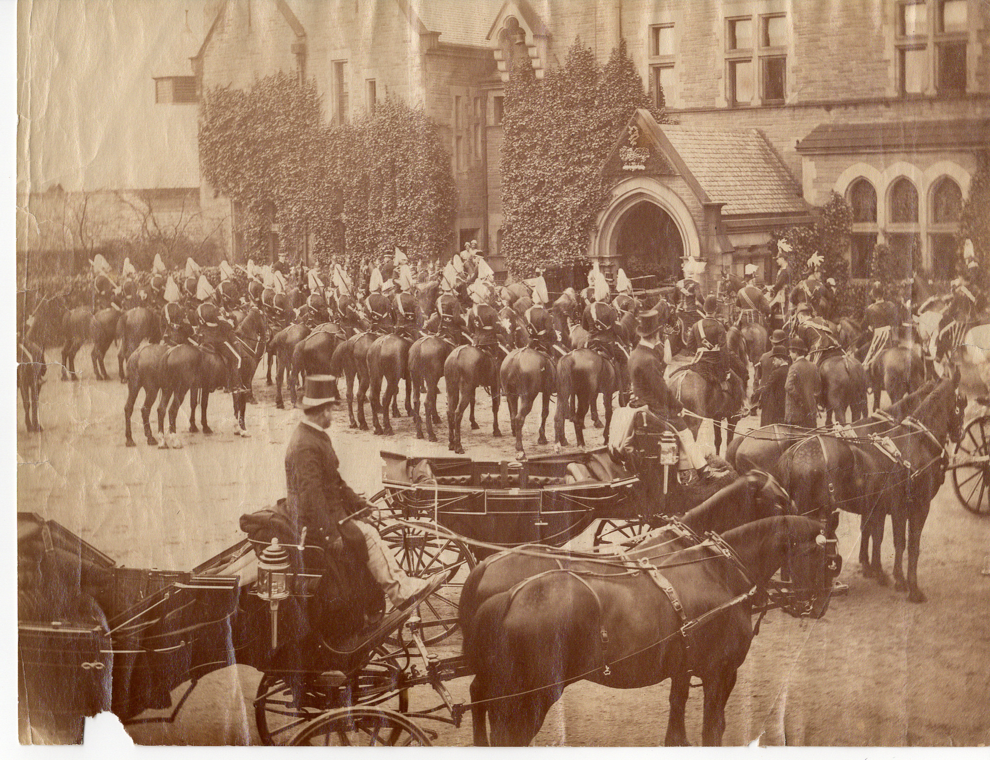 Salt Family: Royal Visits